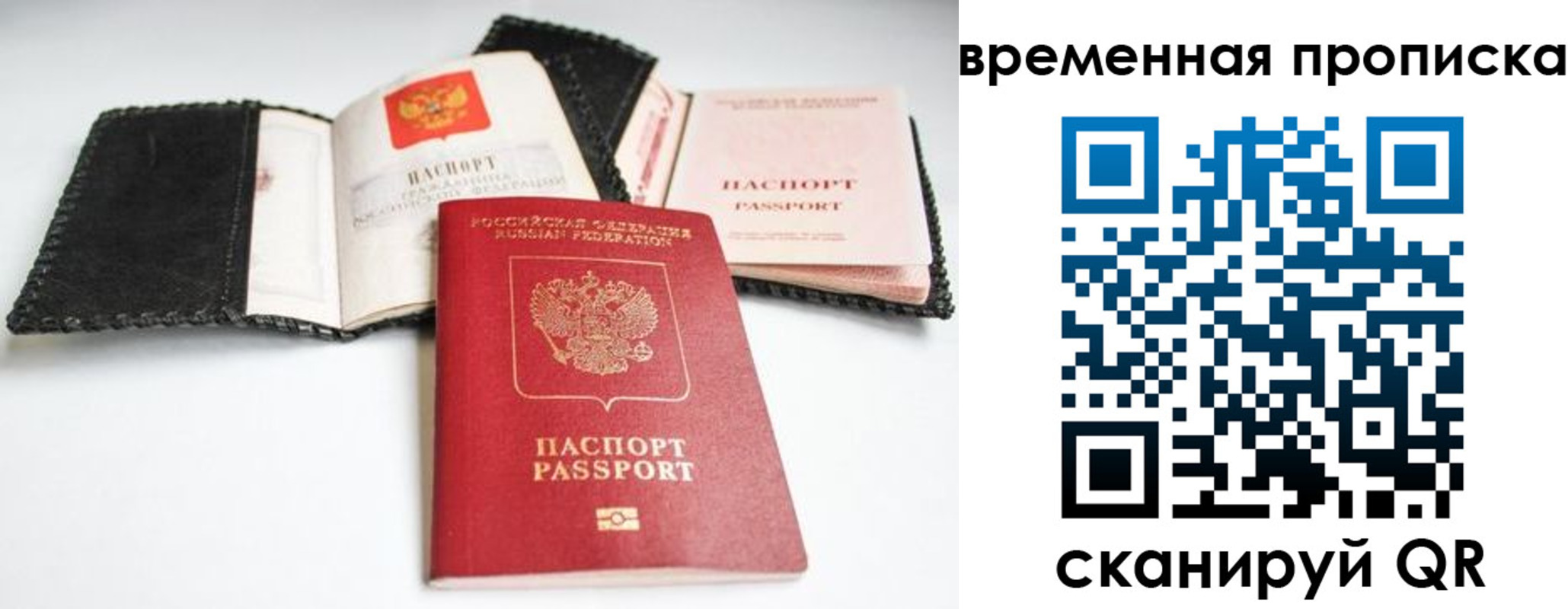 прописка для школы в Владимире